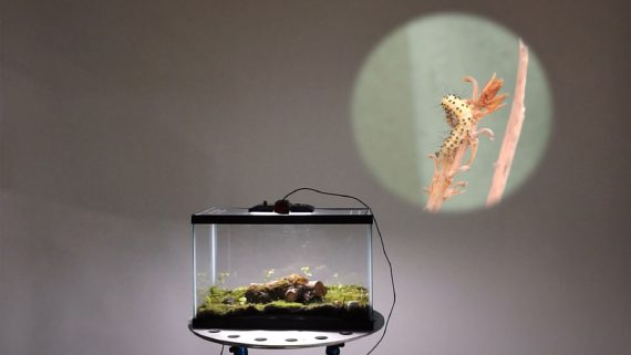 Opera For Dying Insects, by Ken Rinaldo